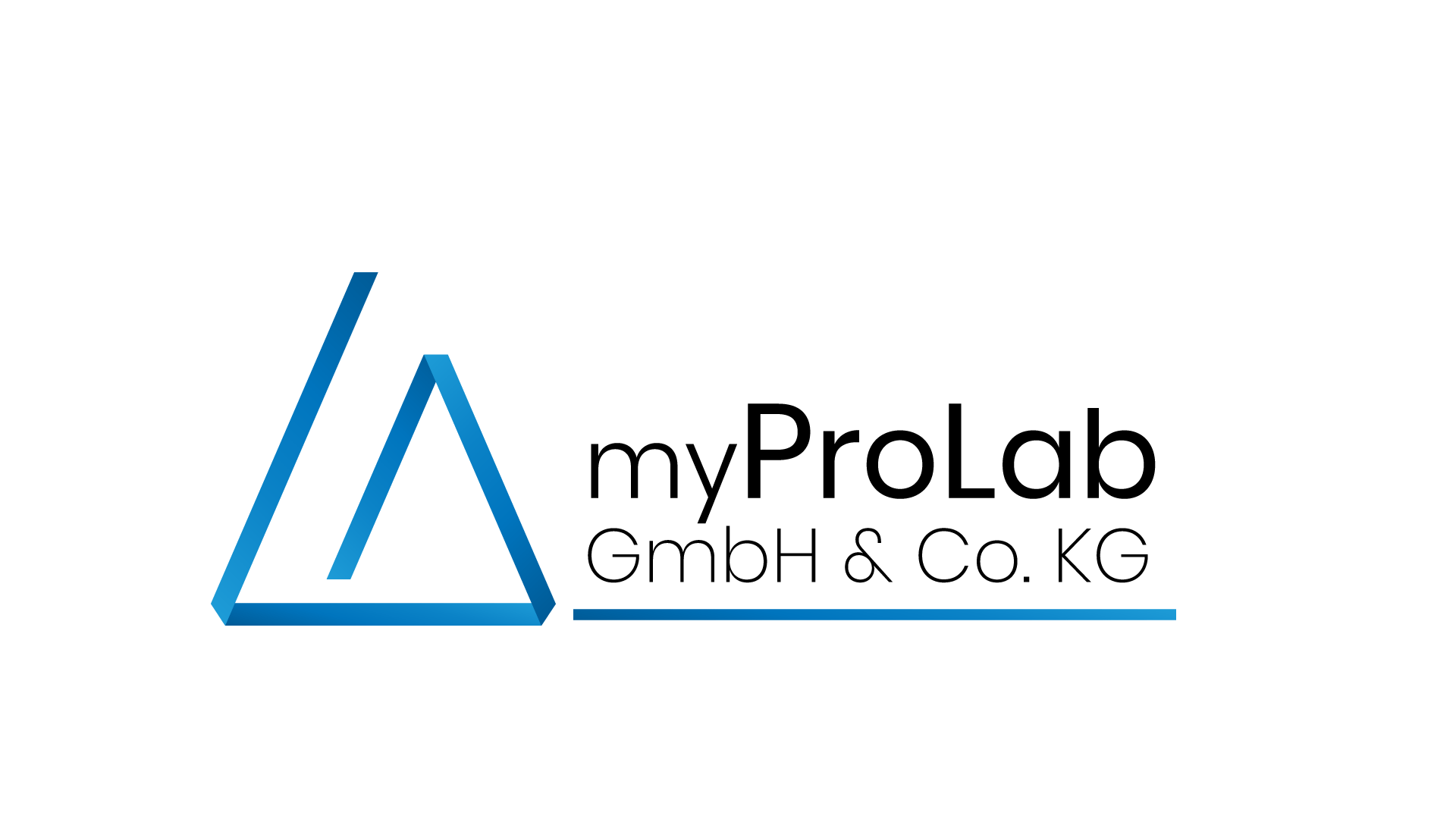 Logo_12